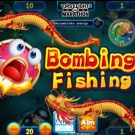 Bombing Fishing